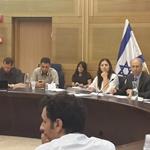ועדת המשנה לקידום אנרגיה ירוקה